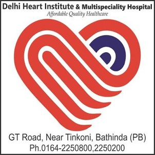 Delhi Heart Institute and Multispeciality Hospital